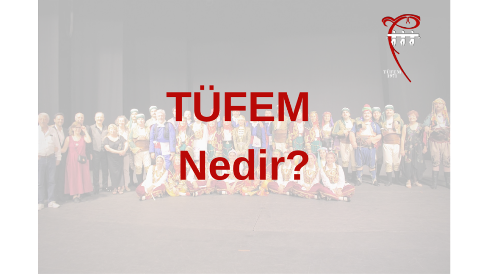 TÜFEM Nedir?